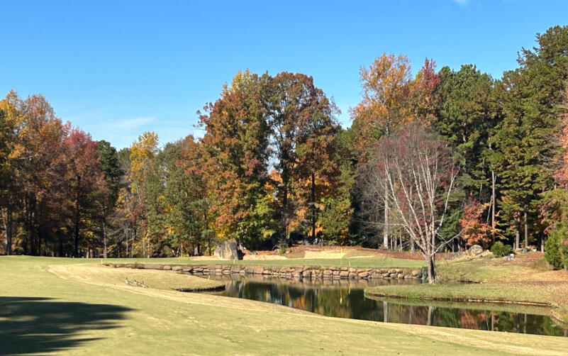 Arnold Palmer&#39;s Birkdale Course Hole #5